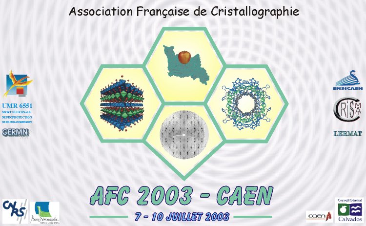 logo AFC 2003